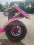ZE Custom GoPed Pink Go-Ped GSR